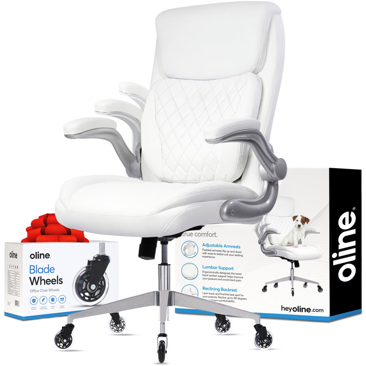 Oline ErgoAce Ergonomic Executive Office Chair Leather Rolling Desk